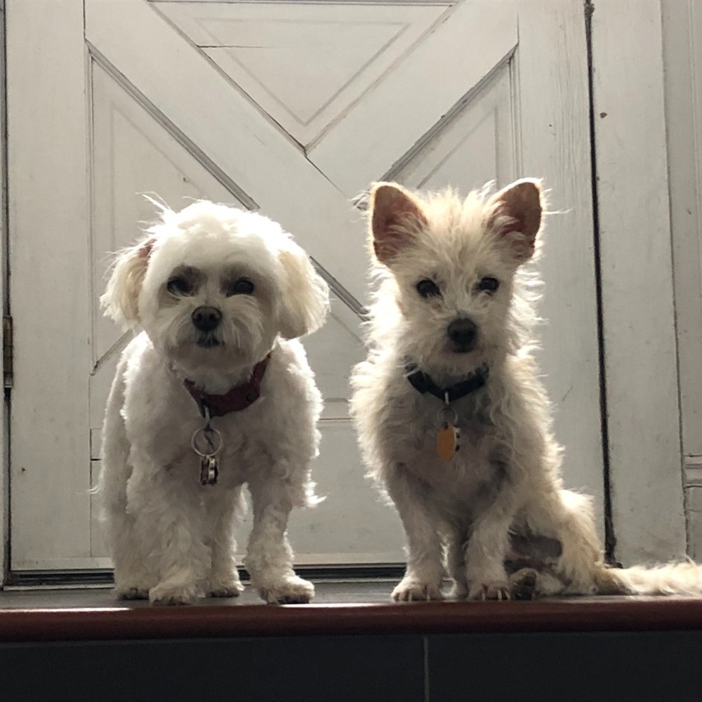 Meet your Posher, Melanie